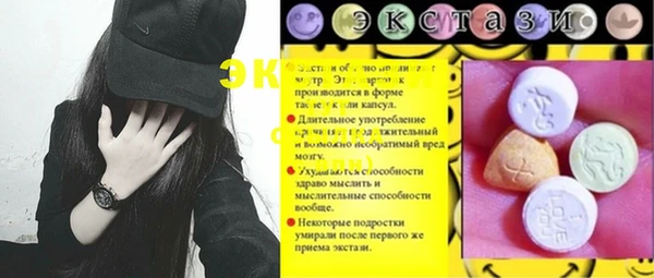 СК Алексин