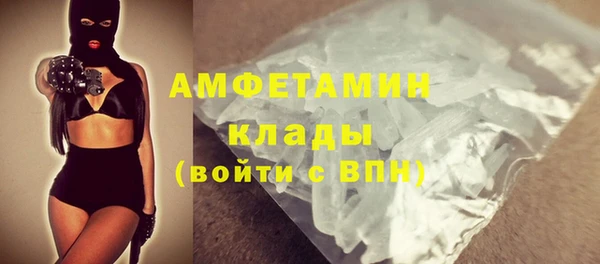 СК Алексин