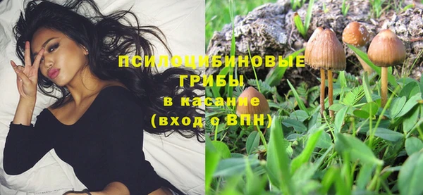 твердый Абинск