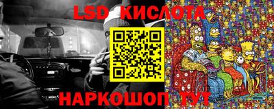 ГАЛЛЮЦИНОГЕННЫЕ ГРИБЫ Кандалакша