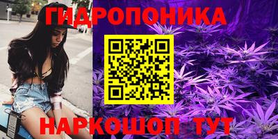 ГАЛЛЮЦИНОГЕННЫЕ ГРИБЫ Кандалакша