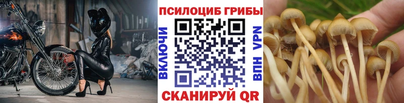 Галлюциногенные грибы MAGIC MUSHROOMS  Сатка 