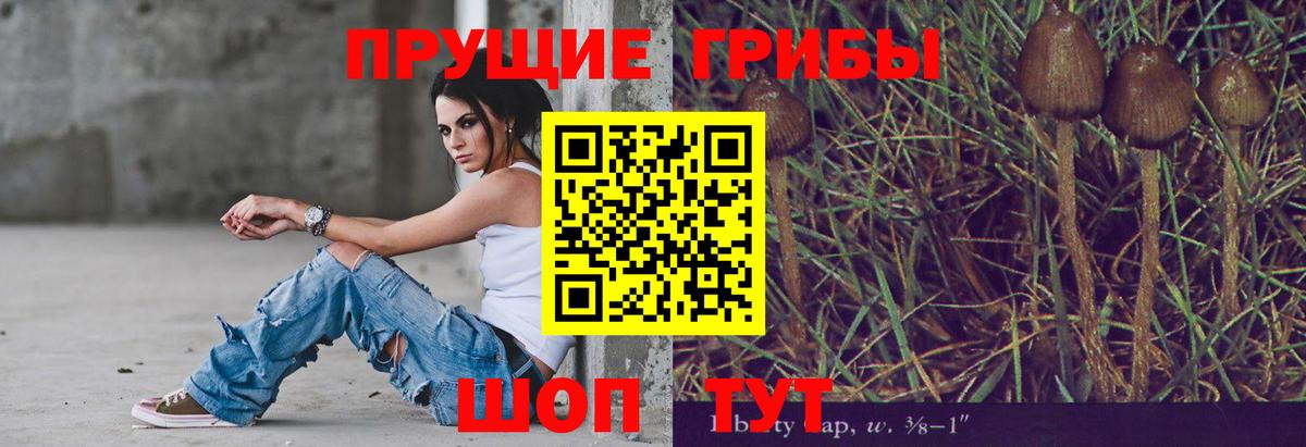 Галлюциногенные грибы мухоморы  Вход с VPN  Сатка  Галлюциногенные грибы GOLDEN TEACHER 
